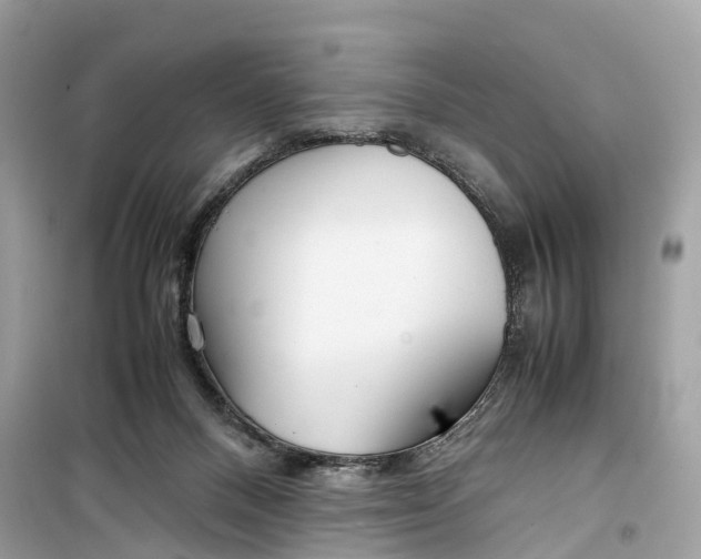 X0000099310120200805231411