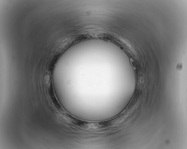 X0000099310121200805231411