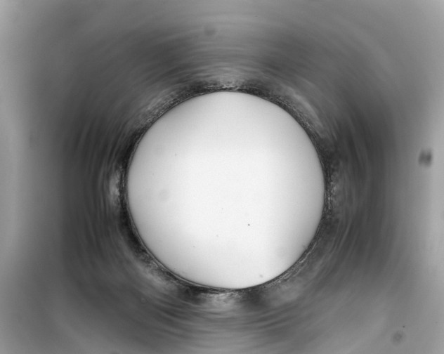 X0000099310122200805231411