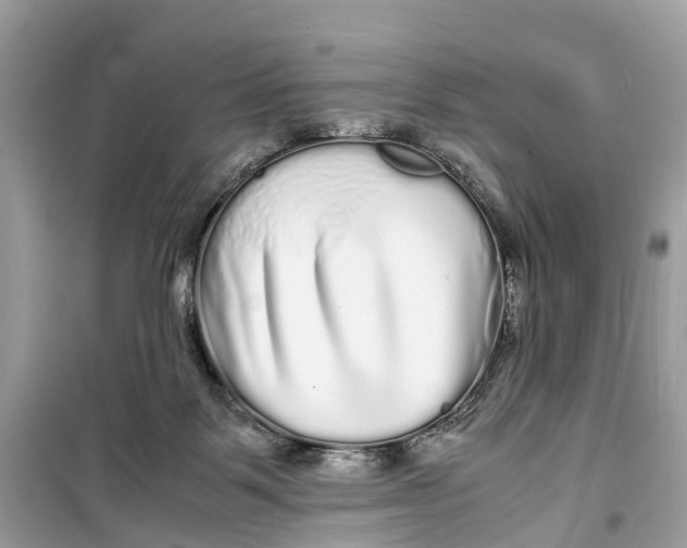 X0000099310123200805231411