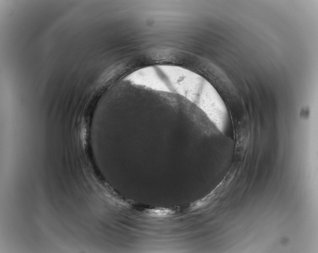 X0000099310124200805231411