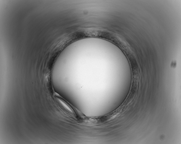 X0000099310125200805231411