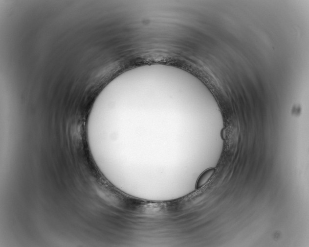 X0000099310126200805231411