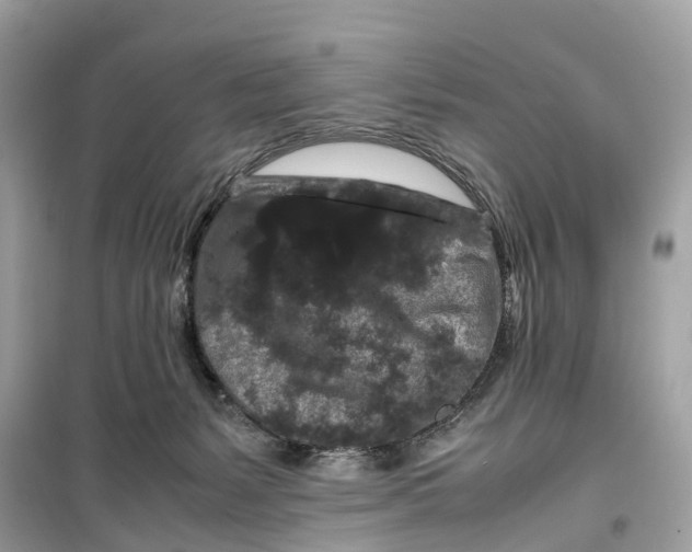 X0000099310127200805231411