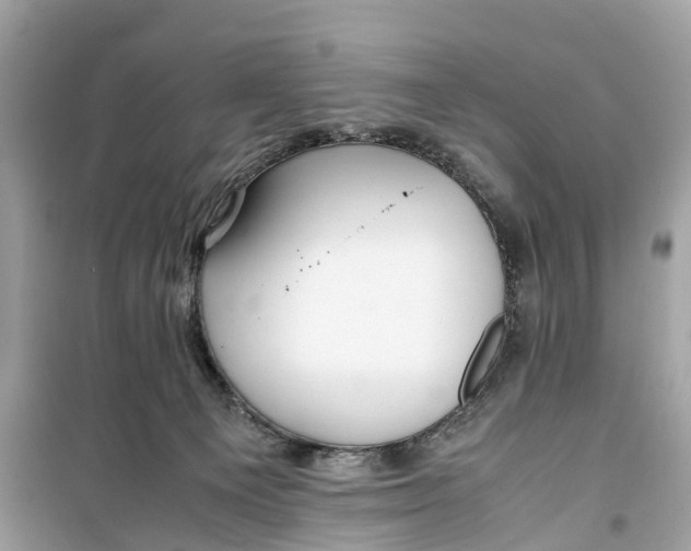 X0000099310129200805231411