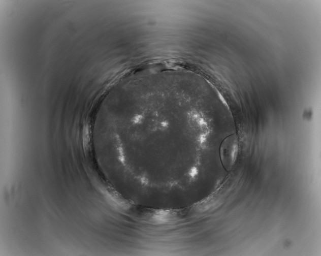 X0000099310130200805231411