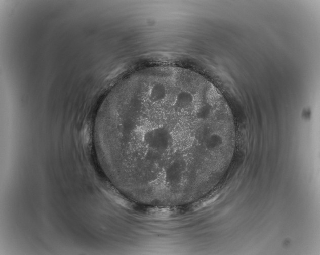 X0000099310131200805231411