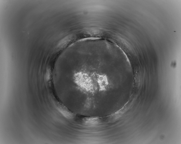 X0000099310132200805231411