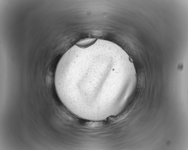 X0000099310135200805231411