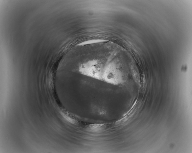 X0000099310136200805231411