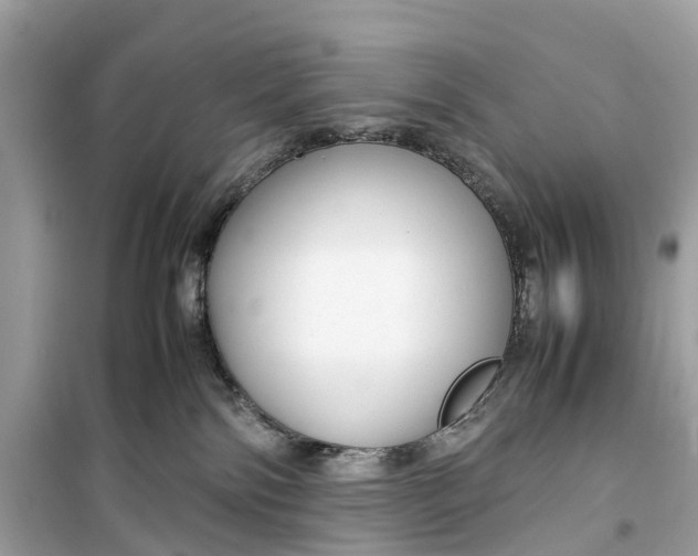 X0000099310138200805231411