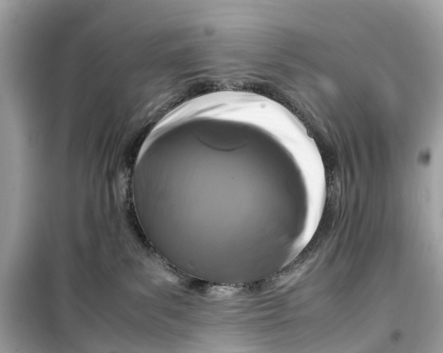 X0000099310139200805231411