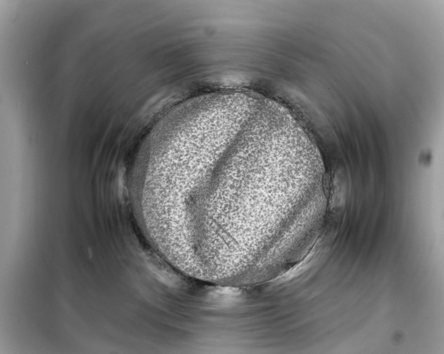 X0000099310140200805231411