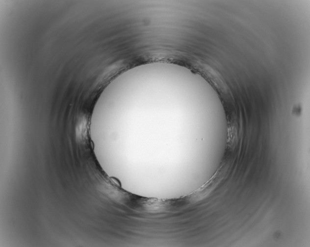 X0000099310142200805231411