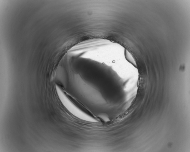 X0000099310143200805231411