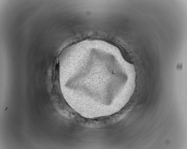 X0000099310144200805231411