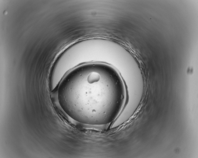 X0000099310146200805231410