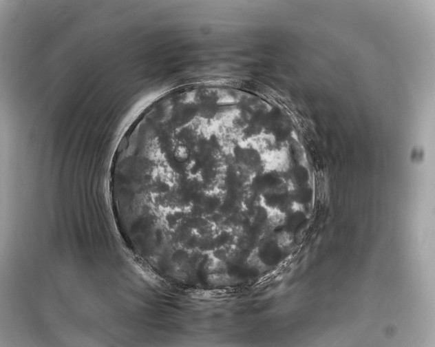 X0000099310147200805231410