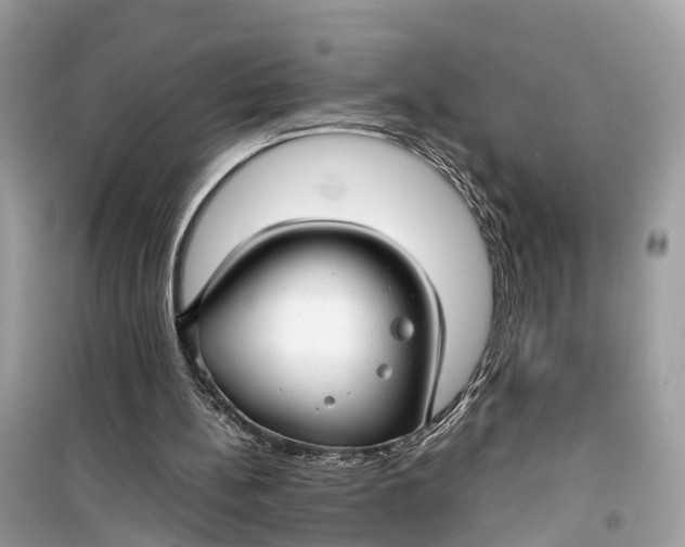 X0000099310148200805231410