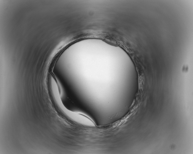 X0000099310150200805231410