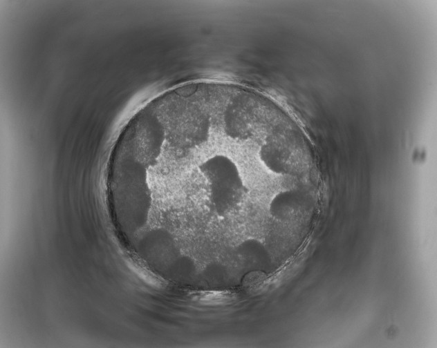 X0000099310151200805231411