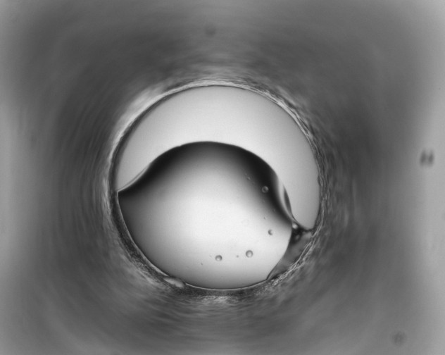 X0000099310152200805231411