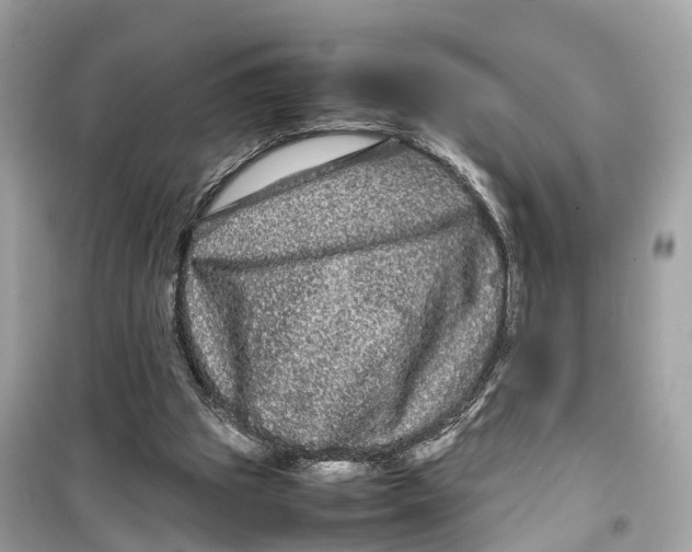 X0000099310153200805231411