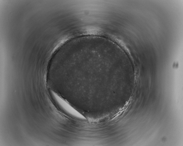 X0000099310154200805231411