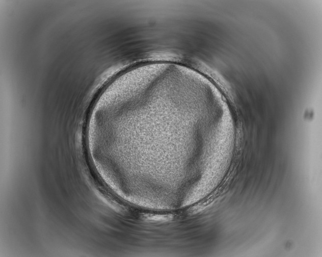 X0000099310155200805231411