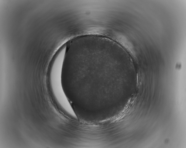 X0000099310156200805231411