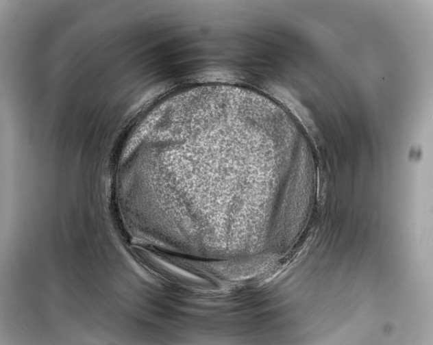 X0000099310157200805231411