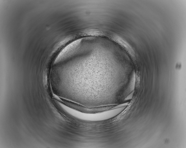 X0000099310158200805231411