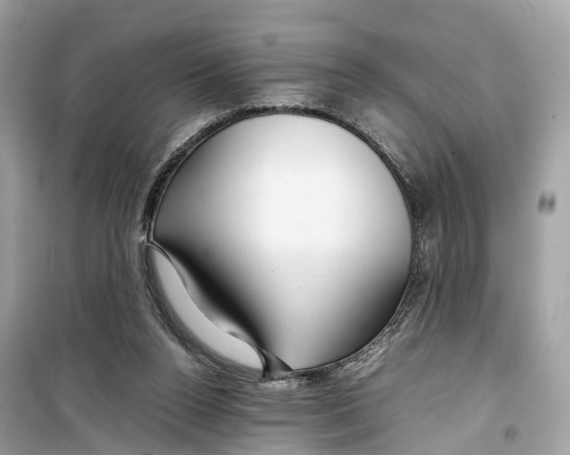 X0000099310160200805231411