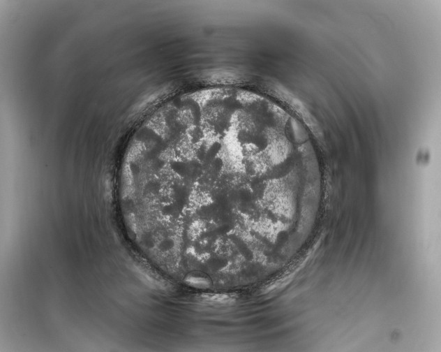 X0000099310161200805231411