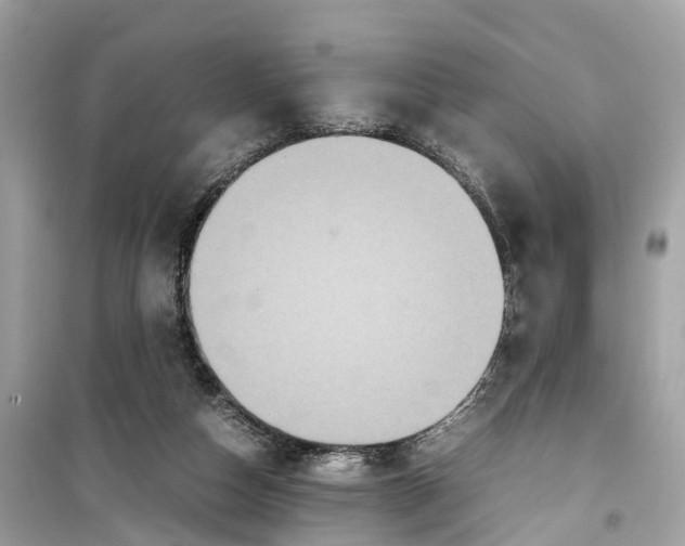 X0000099310162200805231411