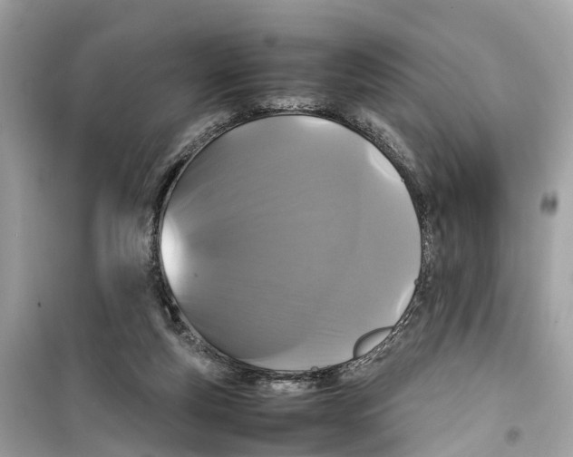 X0000099310163200805231411