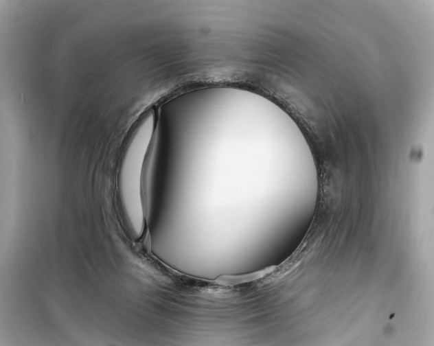 X0000099310164200805231411