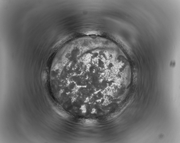 X0000099310165200805231411