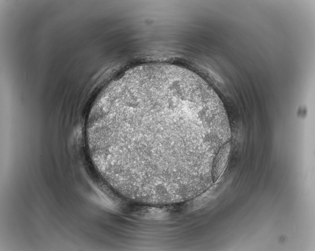 X0000099310166200805231411