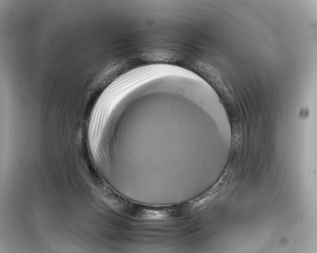 X0000099310167200805231411