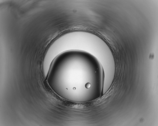 X0000099310168200805231411