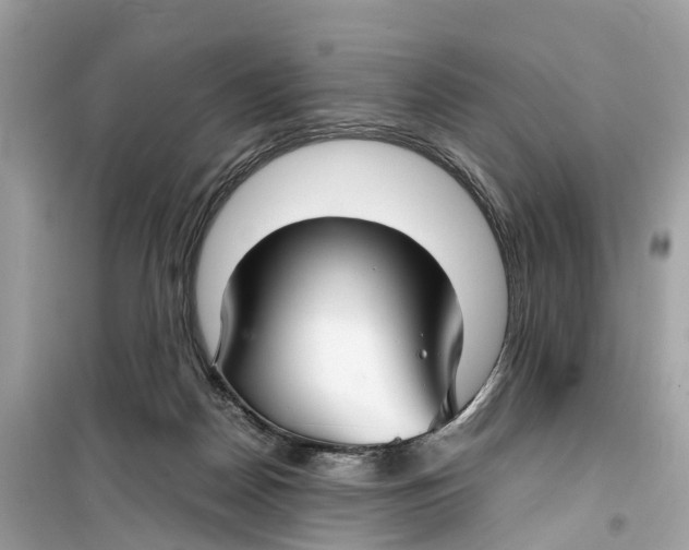 X0000099310170200805231411