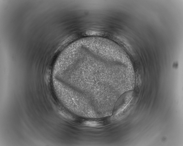 X0000099310171200805231411