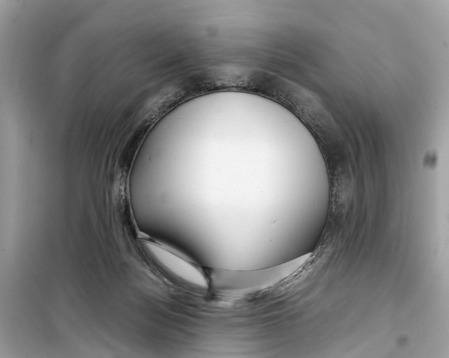 X0000099310172200805231411