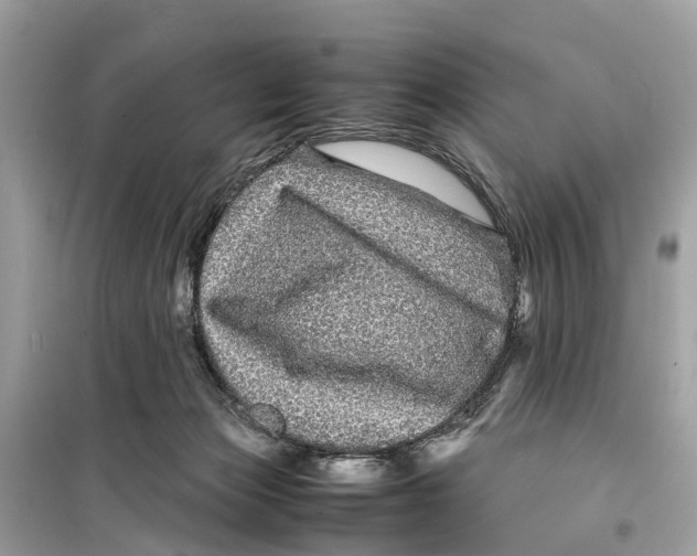 X0000099310173200805231411