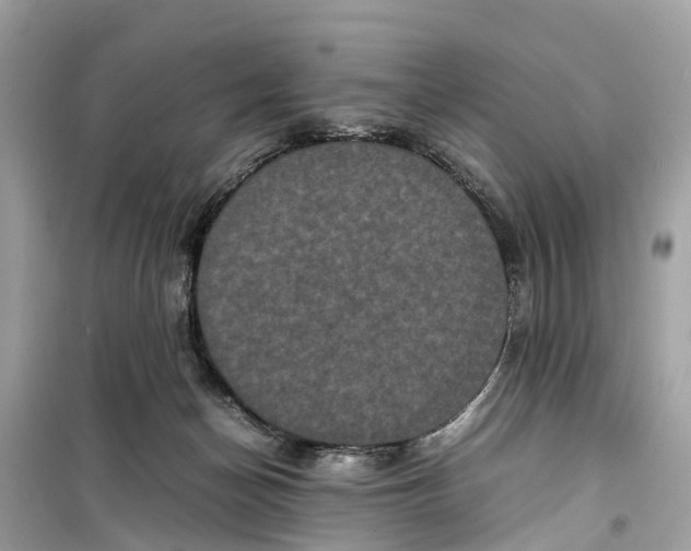 X0000099310174200805231411