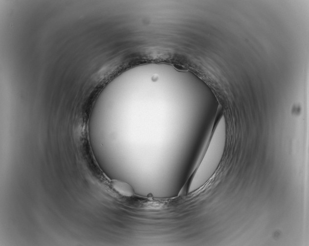 X0000099310176200805231411