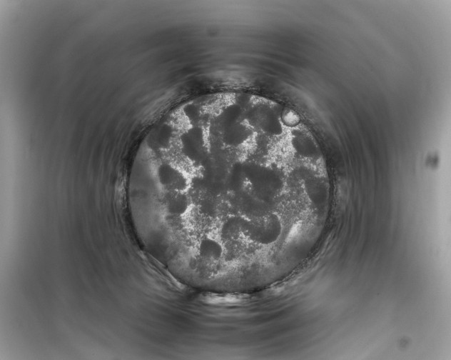 X0000099310177200805231411