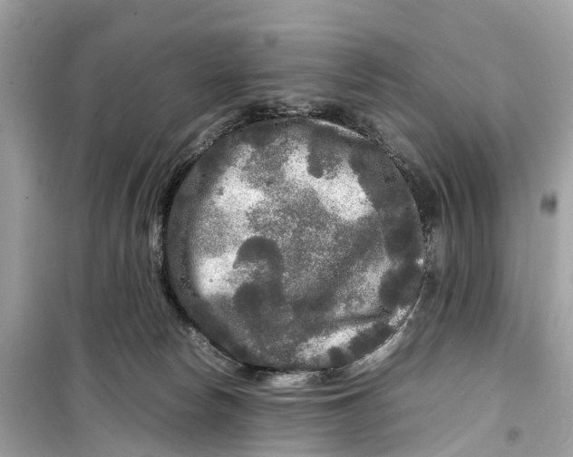 X0000099310178200805231411