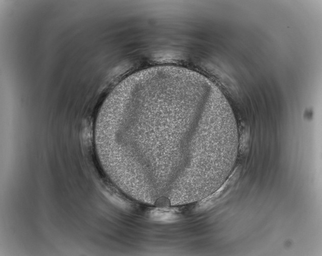 X0000099310179200805231411